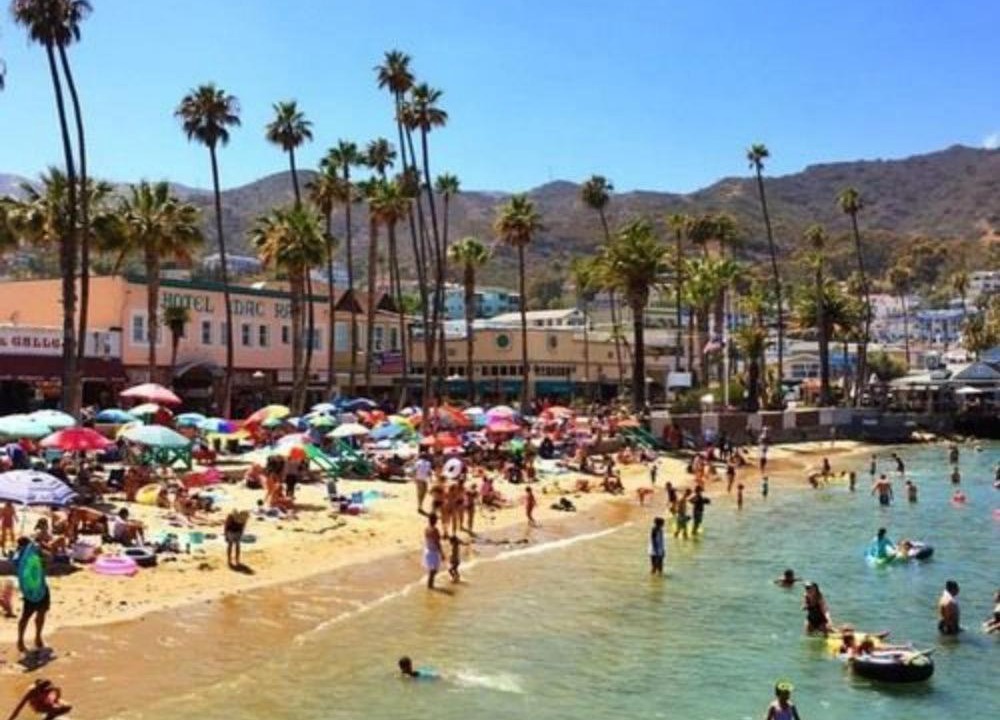 Photo of Others in Avalon