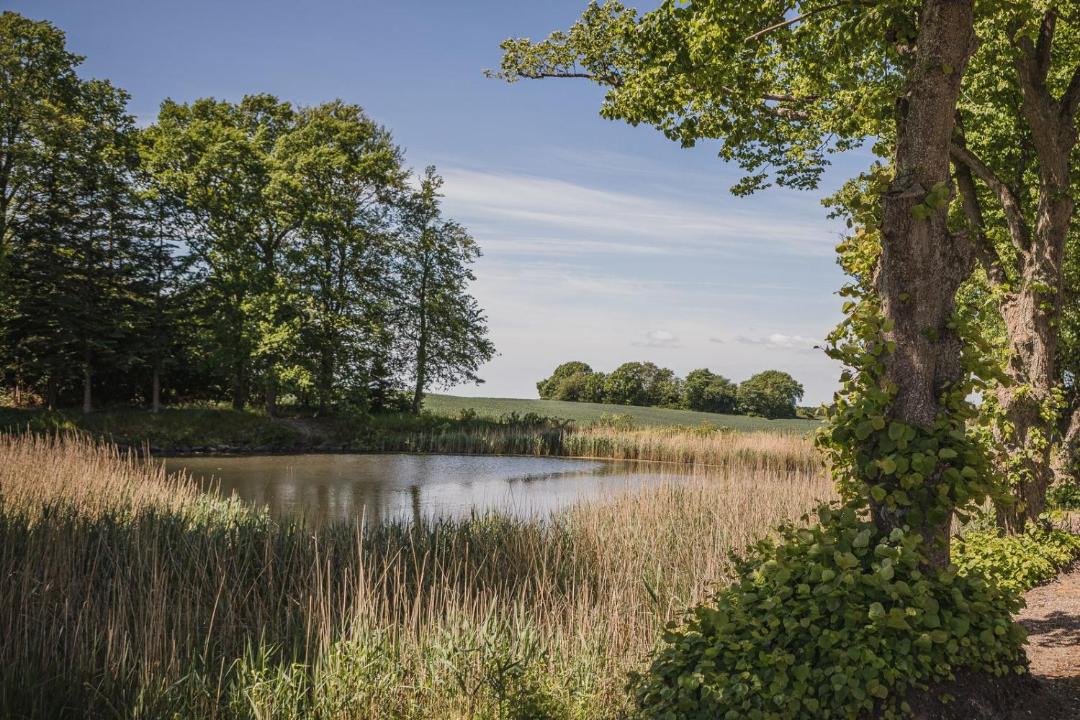 Photo of Others in Hvalso