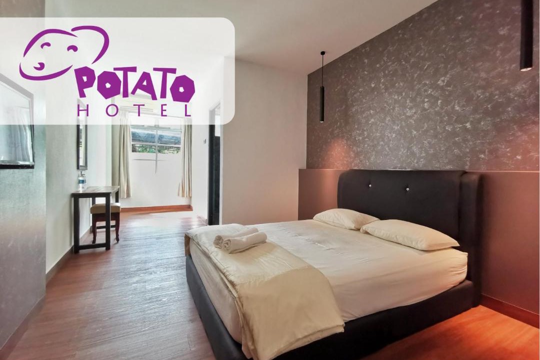 Photo of Others in Dew