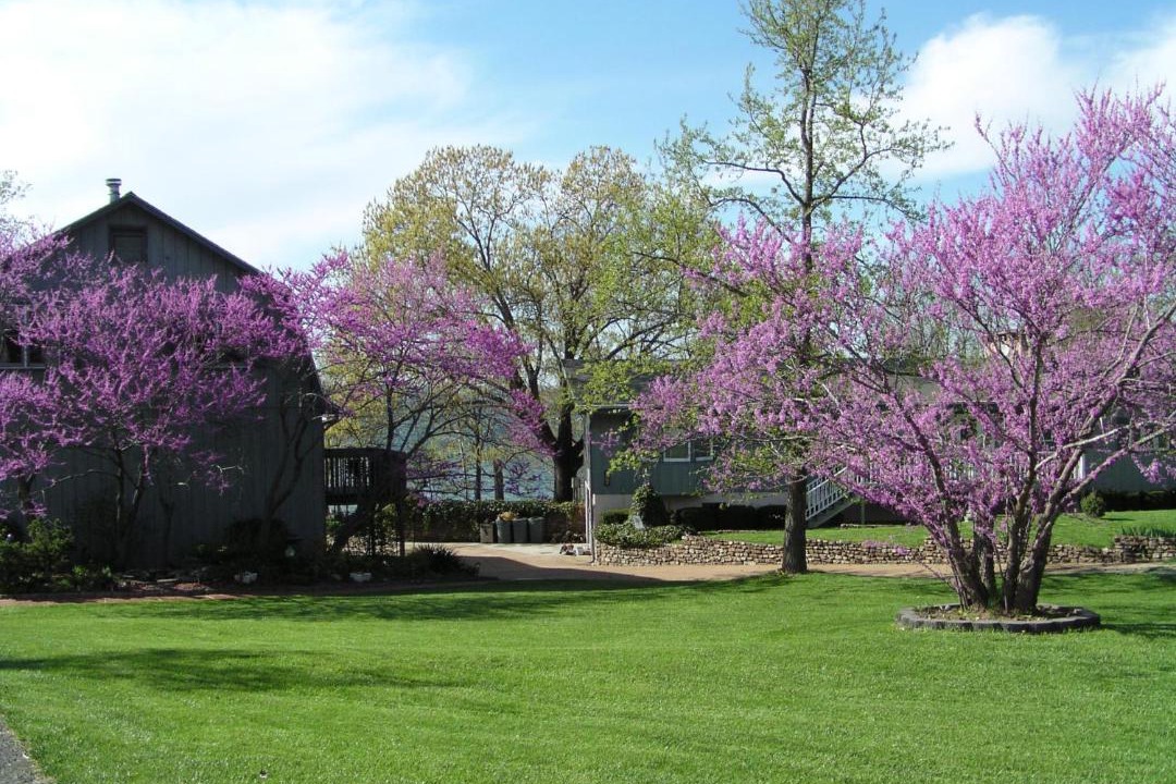 Photo of Others in Big Cedars