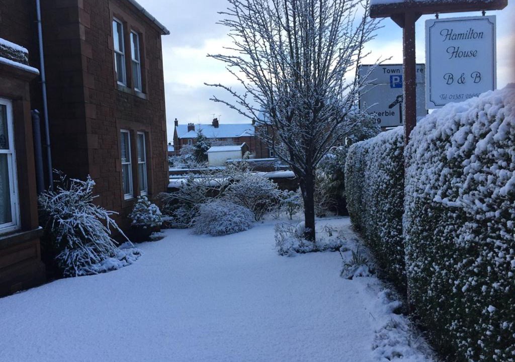 Photo of Others in Dumfries