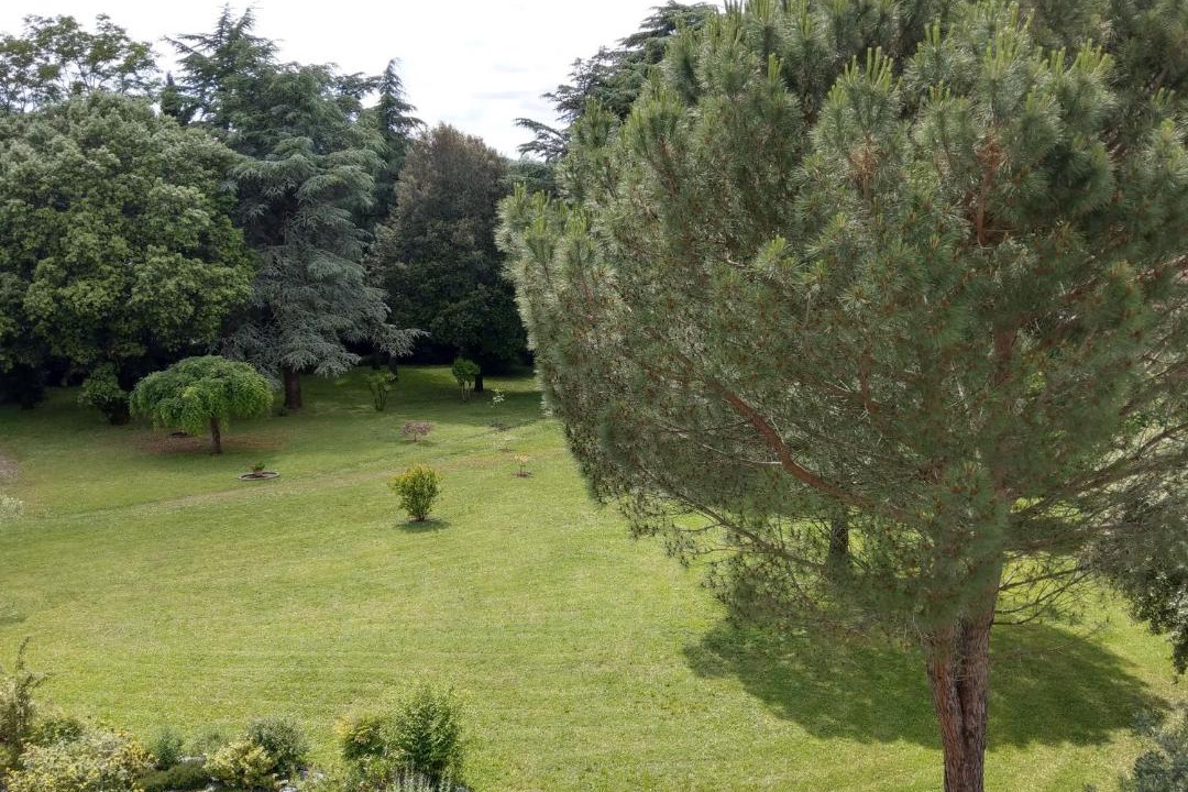 Photo of Others in Labruguiere