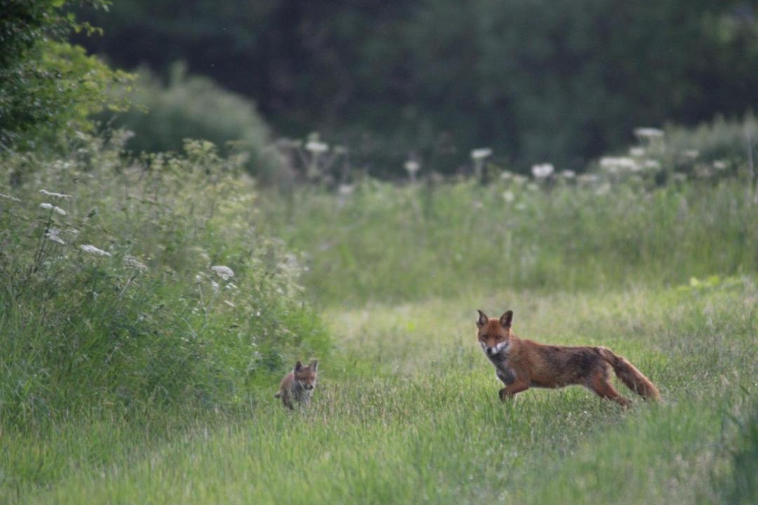 Photo of Others in Hook