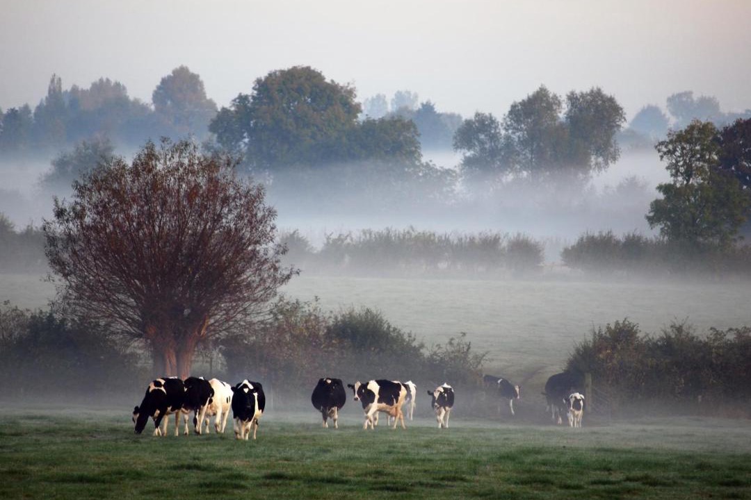 Photo of Others in Hook