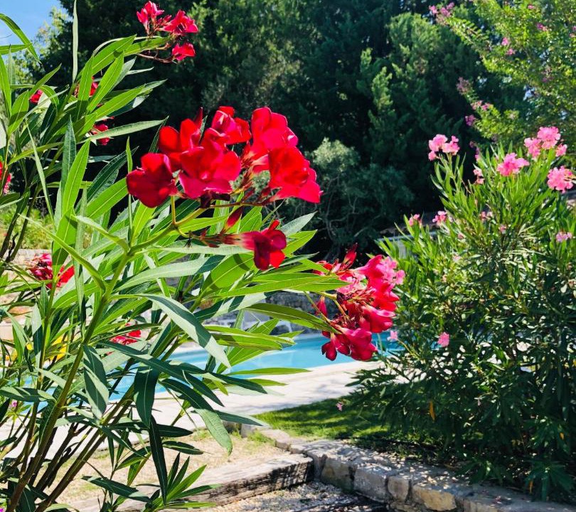 Photo of Others in Fayence