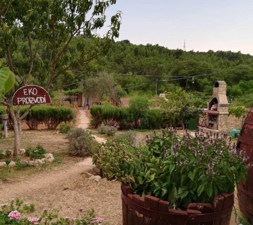 Photo of Others in Skradin