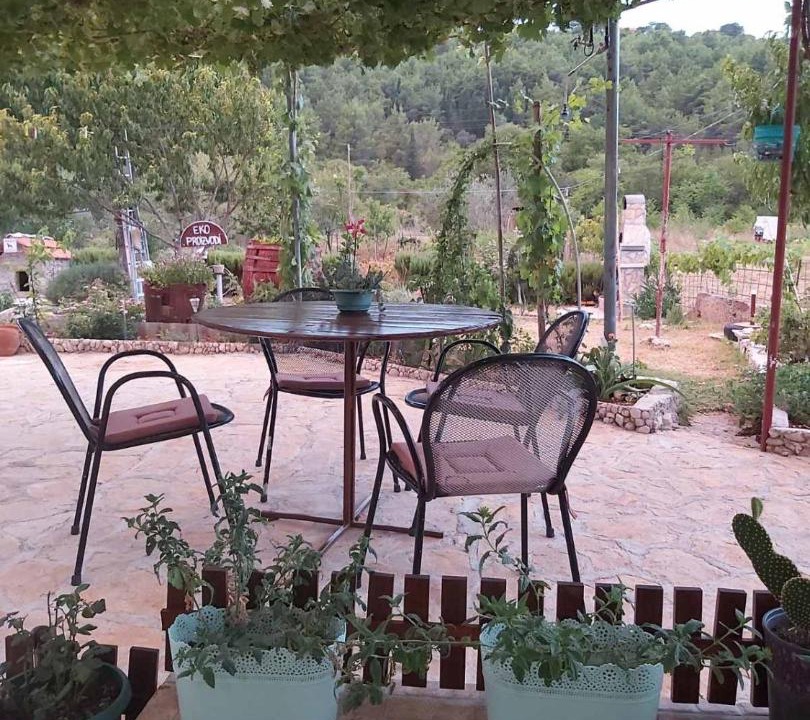 Photo of Others in Skradin