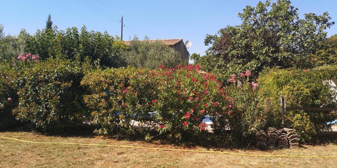 Photo of Others in Vinezac