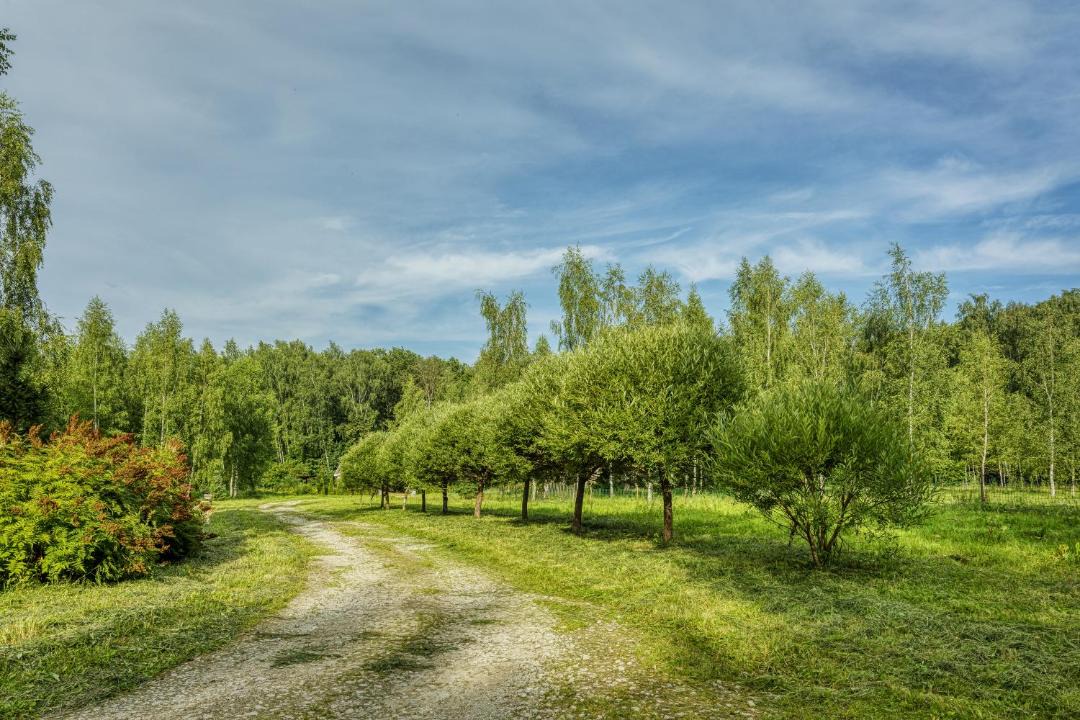 Photo of Outdoor in Lipitskoe