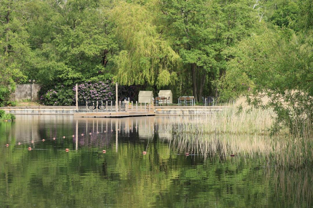 Photo of Others in Shorne