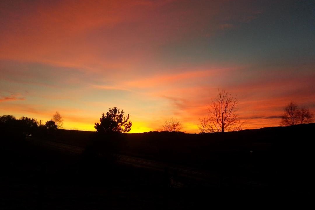 Photo of Others in Lairg