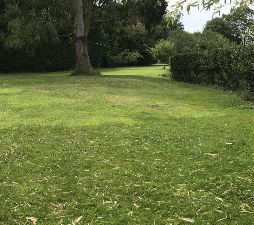 Photo of Others in Seething