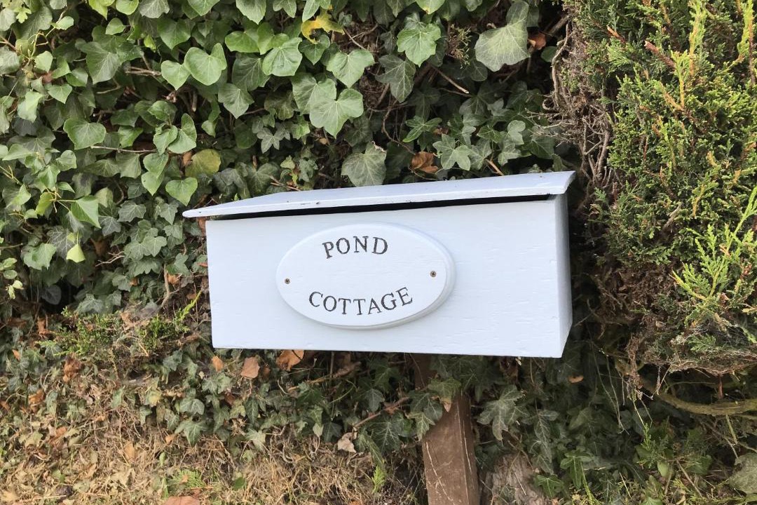 Photo of Others in Seething