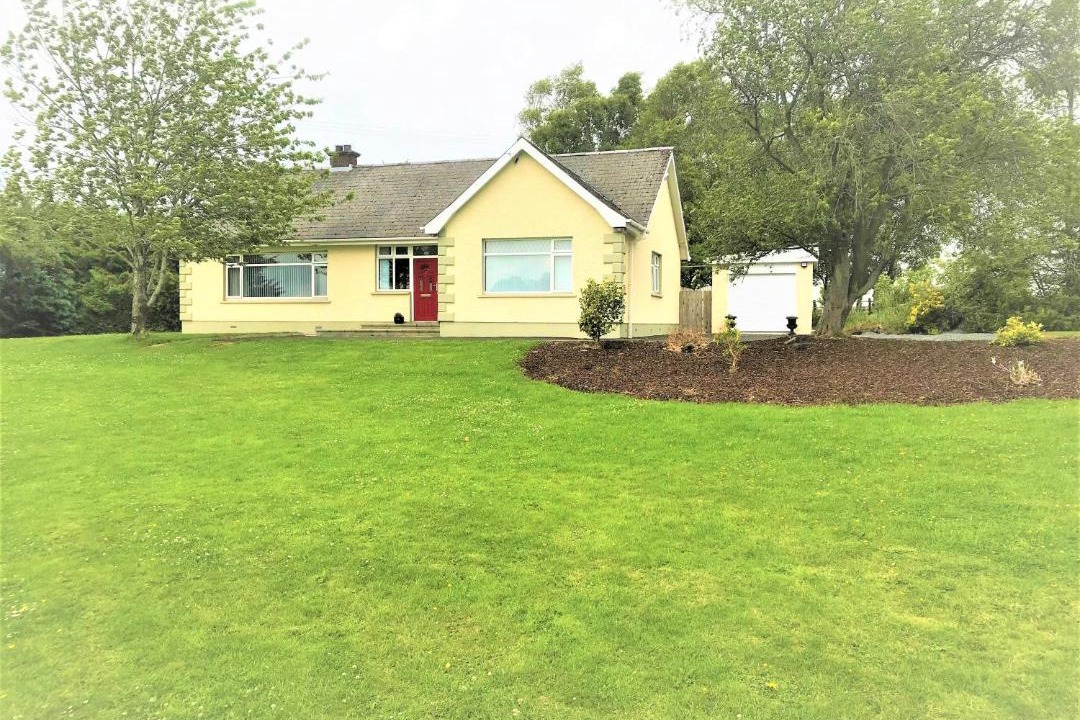 Photo of Others in Craigavon