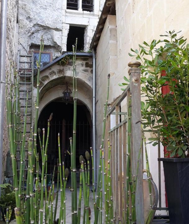 Photo of Others in Saumur