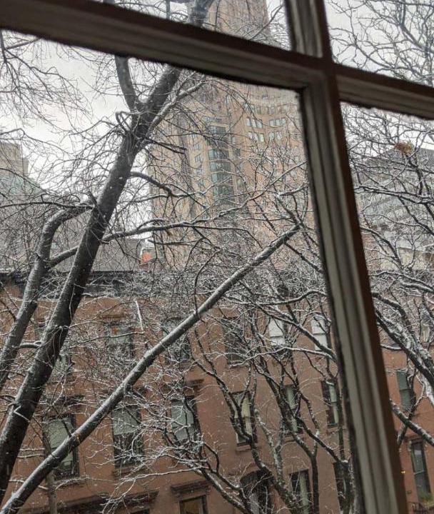 Photo of Buildings in Brooklyn Heights