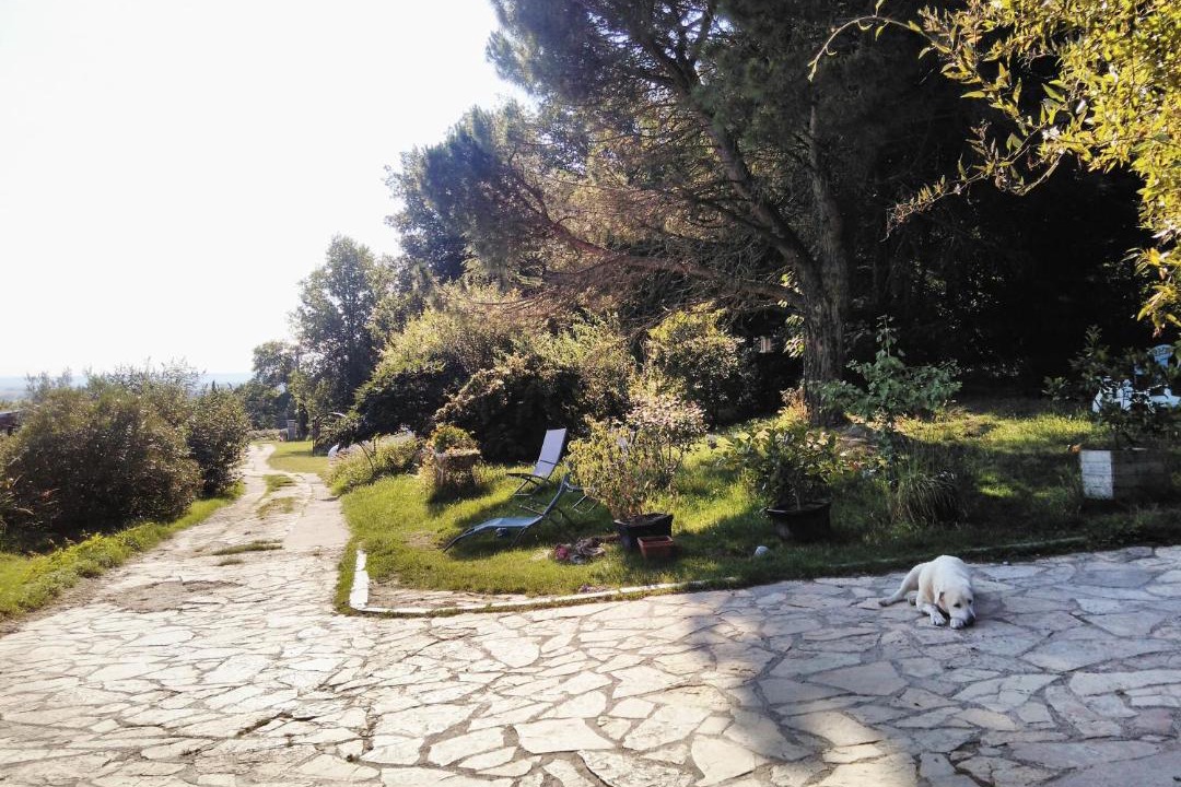 Photo of Others in Le Burgaud