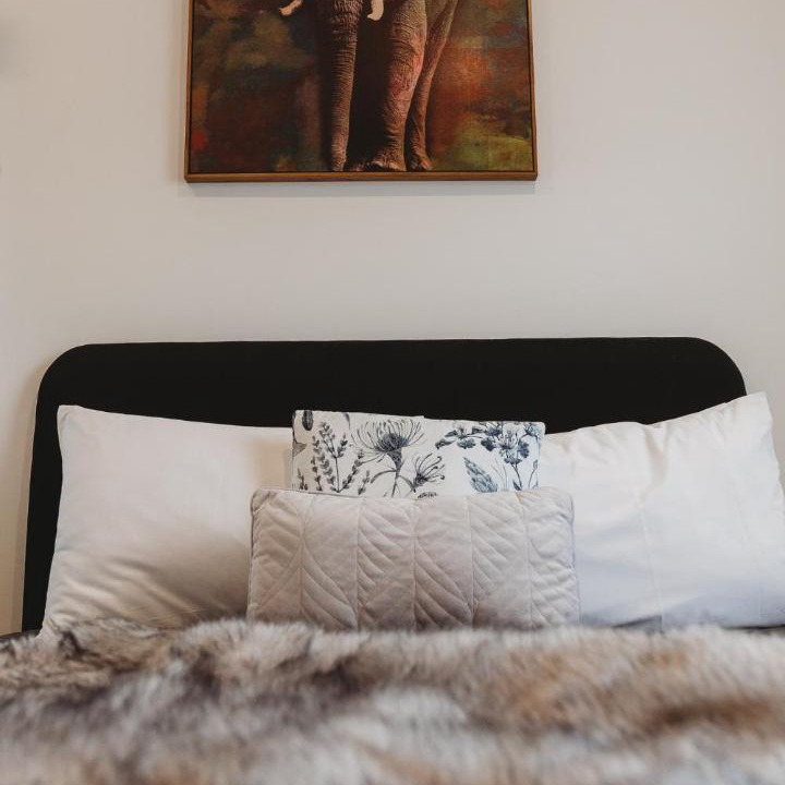 Photo of Bedroom in Katikati