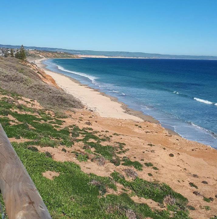 Photo of Others in Moana