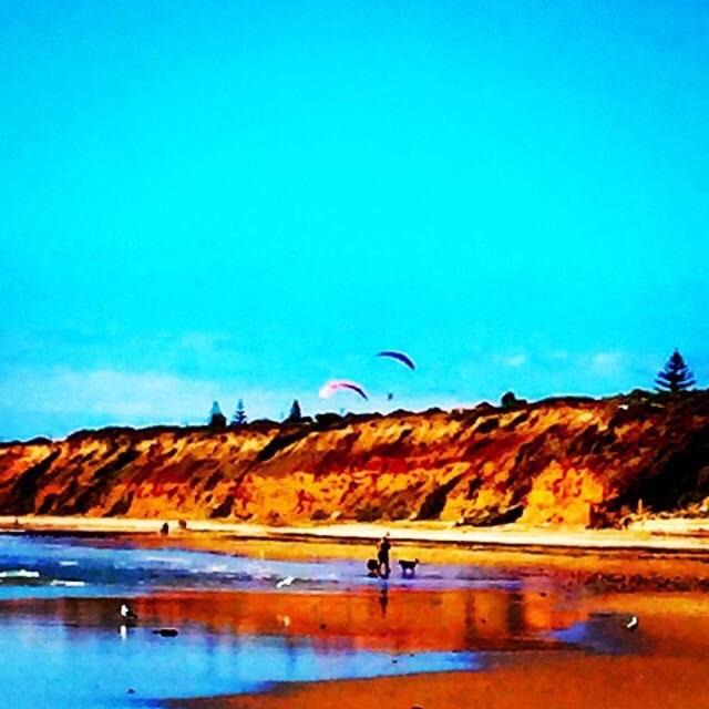 Photo of Others in Moana