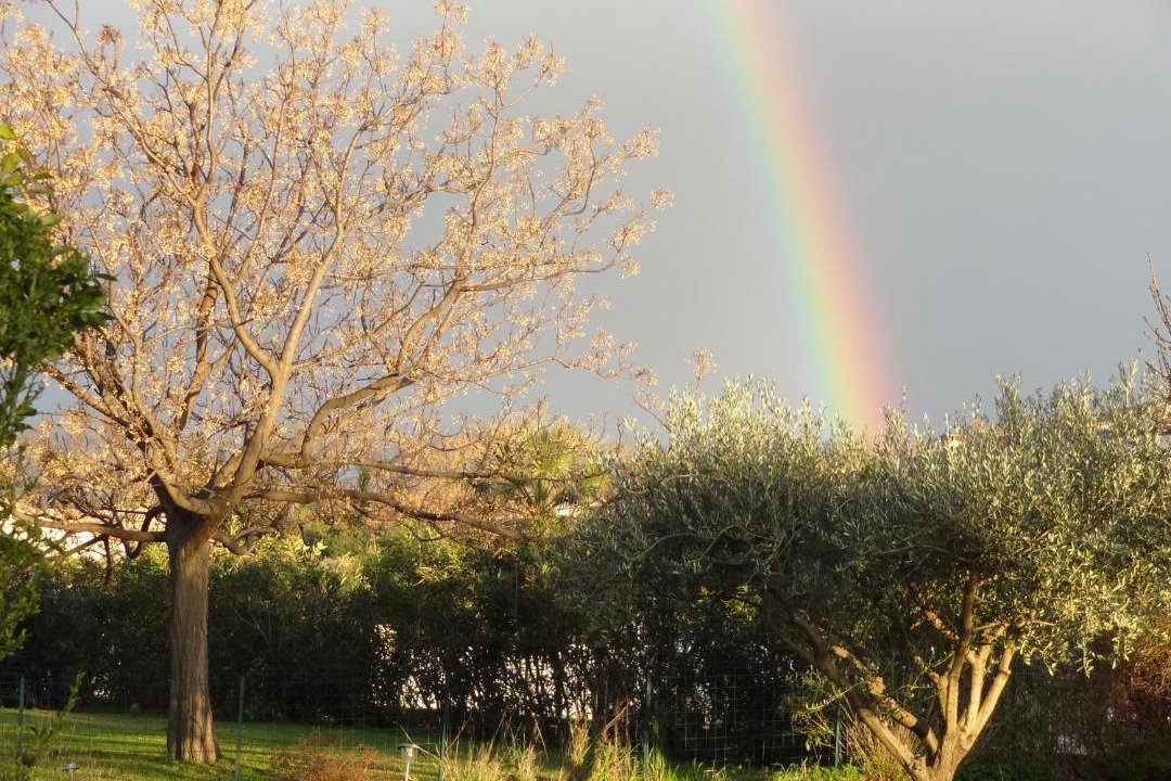 Photo of Others in Millas