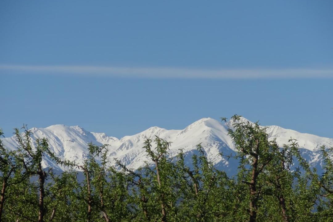 Photo of Others in Millas