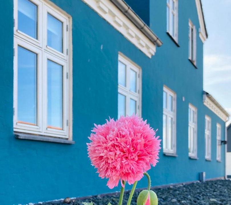 Photo of Others in Hals