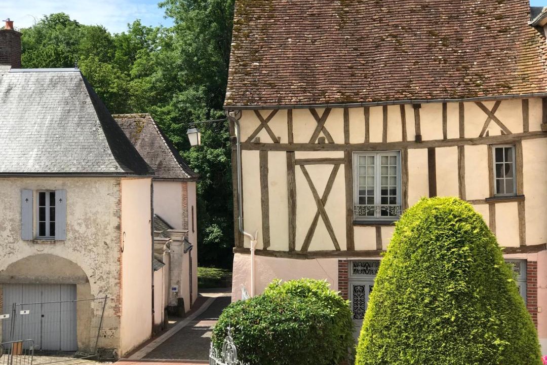 Photo of Buildings in Saint-Fargeau