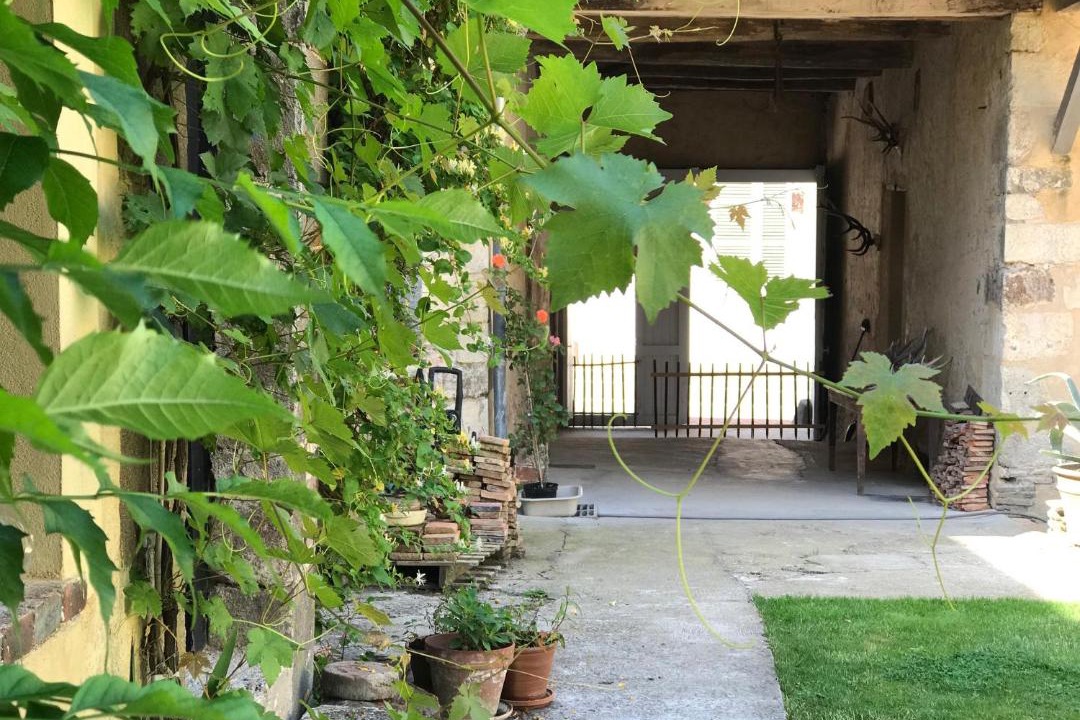 Photo of Others in Saint-Fargeau