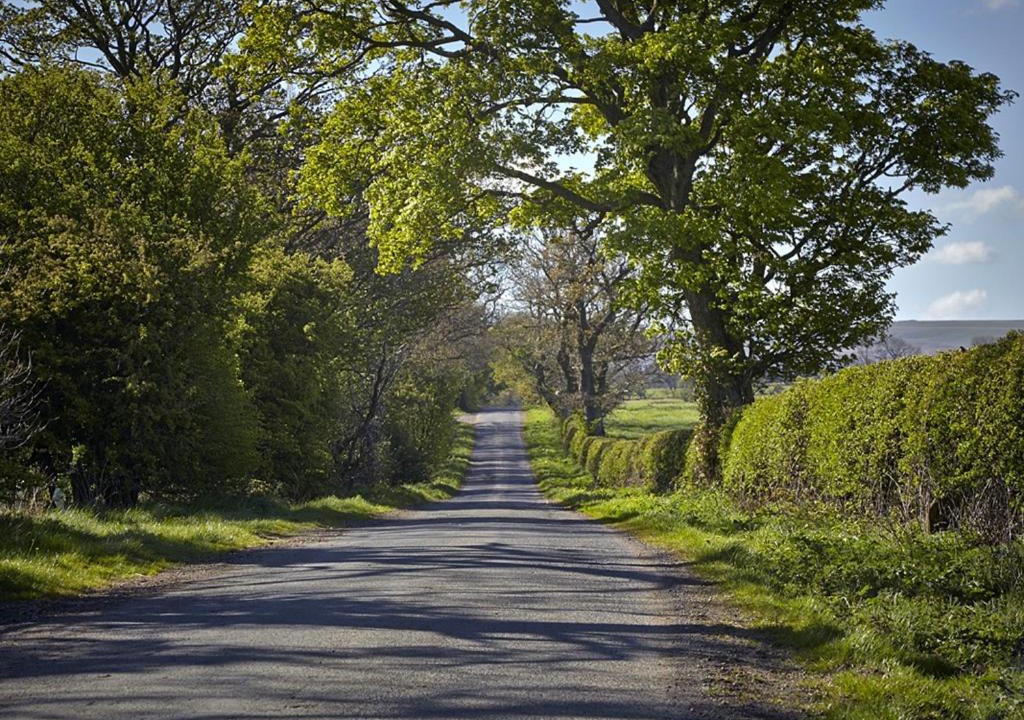 Photo of Others in Fremington