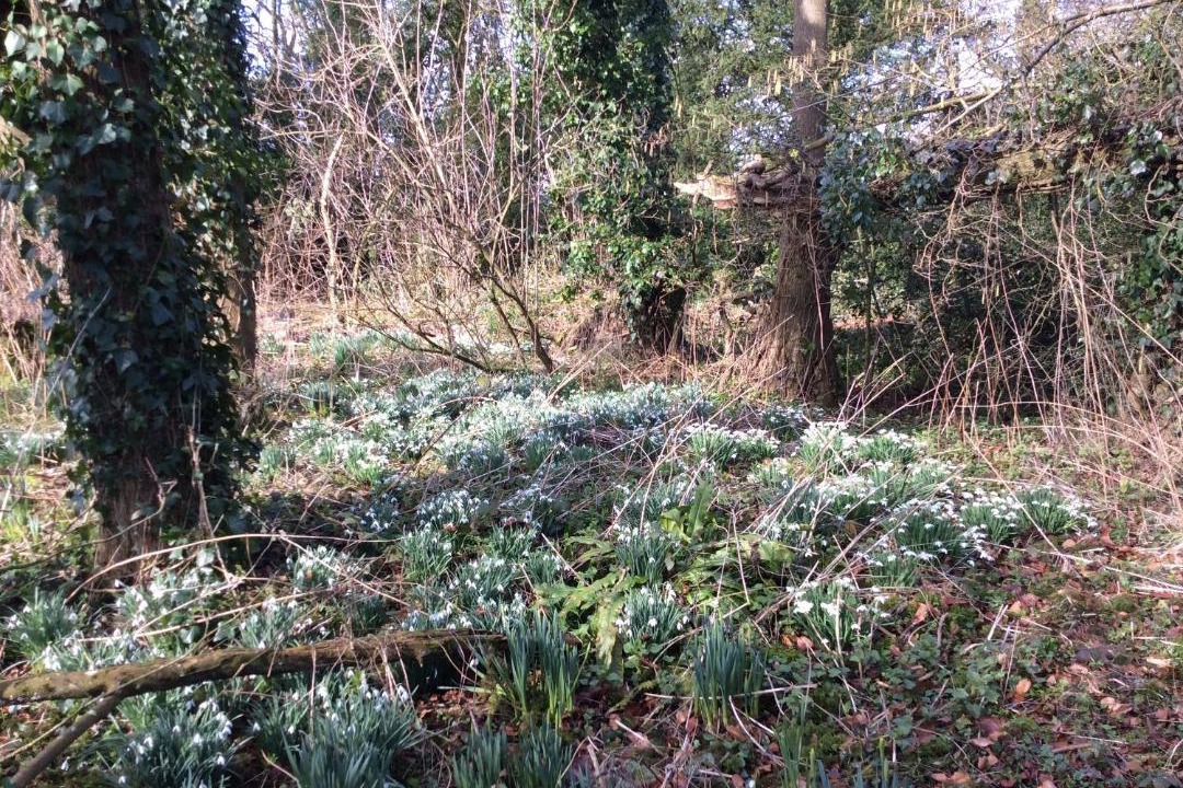 Photo of Others in Ebbesborne Wake