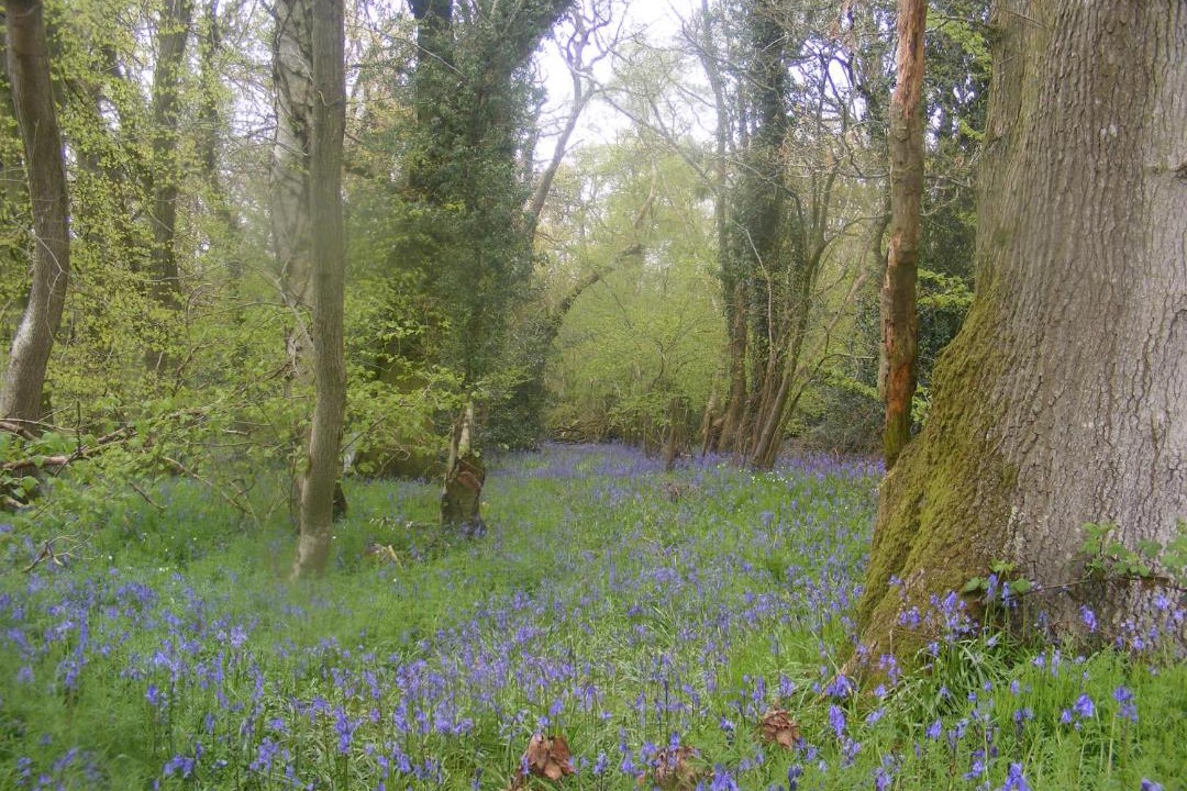 Photo of Others in Ebbesborne Wake