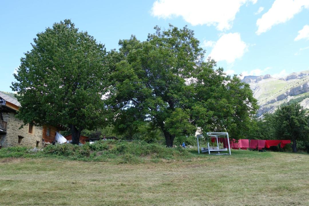 Photo of Others in Peone
