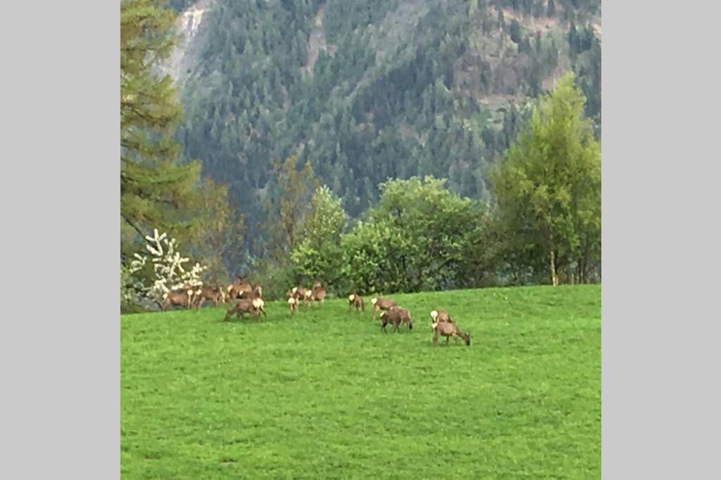 Photo of Others in Bitsch