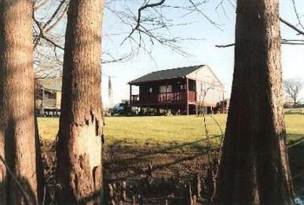 Photo of Others in Gardner
