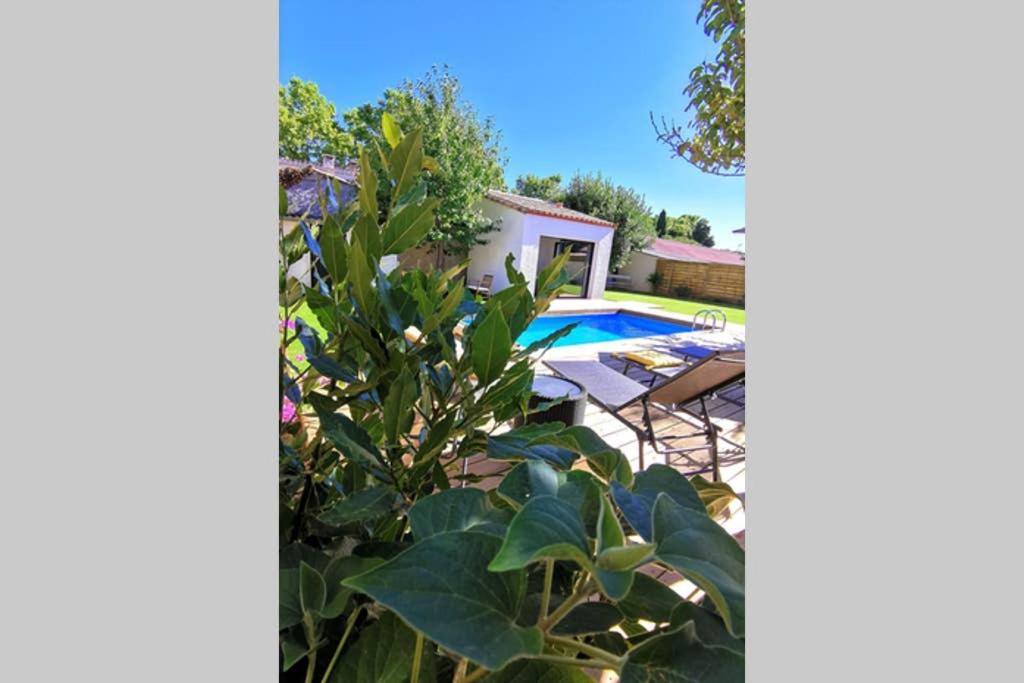 Photo of Others in Verzeille