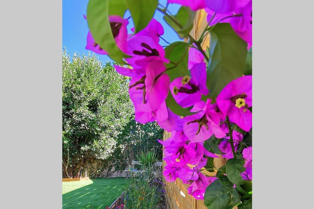 Photo of Others in Verzeille