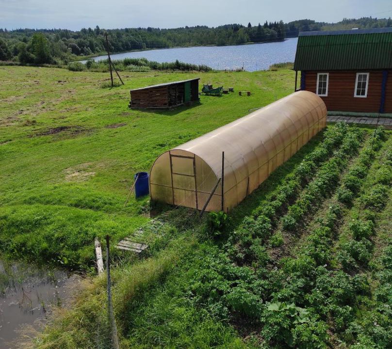 Photo of Others in Ryutinskoe