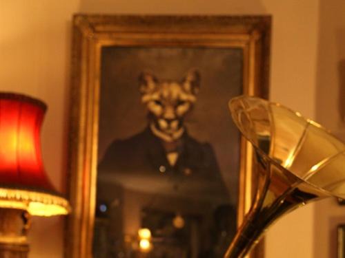 Photo of Others in Shanklin