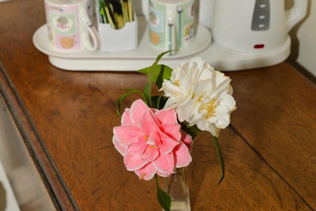 Photo of Others in Coleman's Hatch