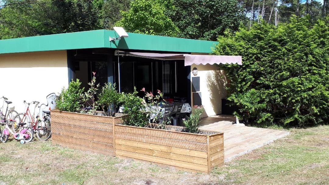 Photo of Others in Leon