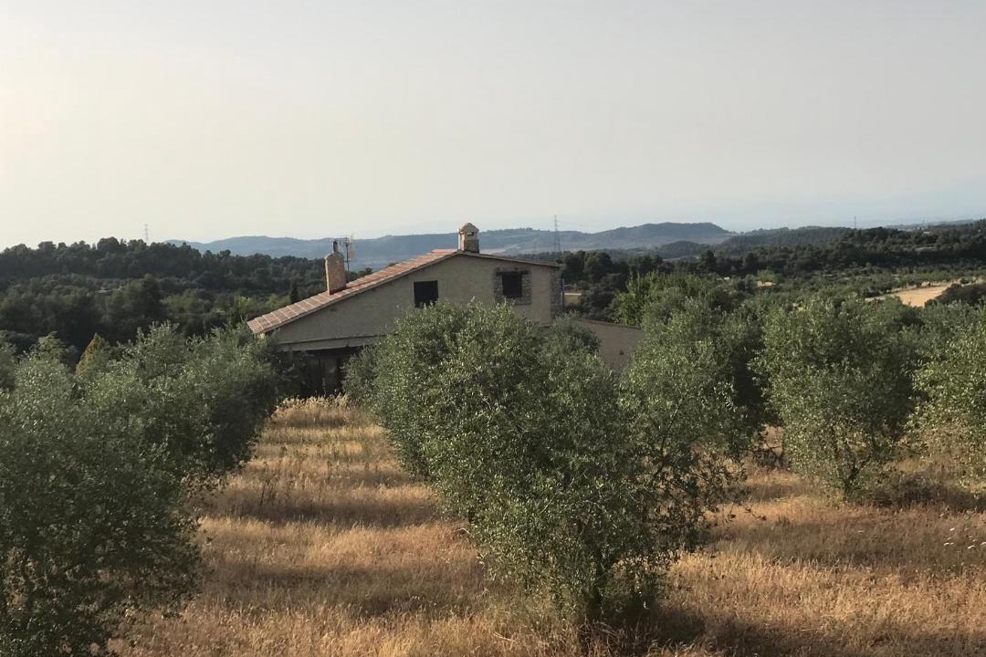 Photo of Others in La Pobla de Cervoles