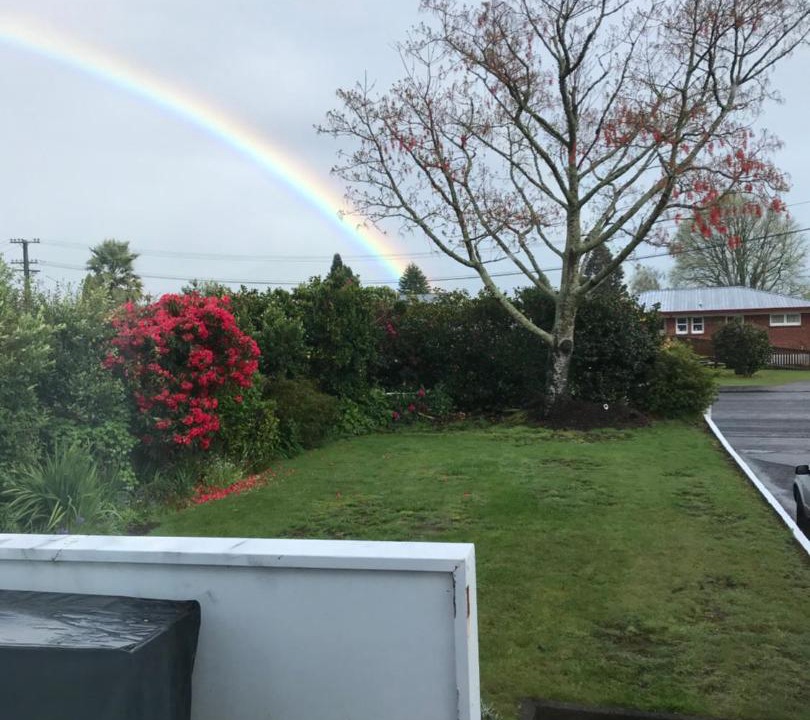 Photo of Others in Rotorua