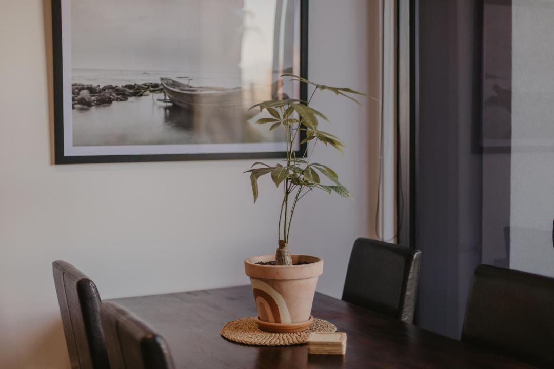 Photo of Livingroom in Gisborne