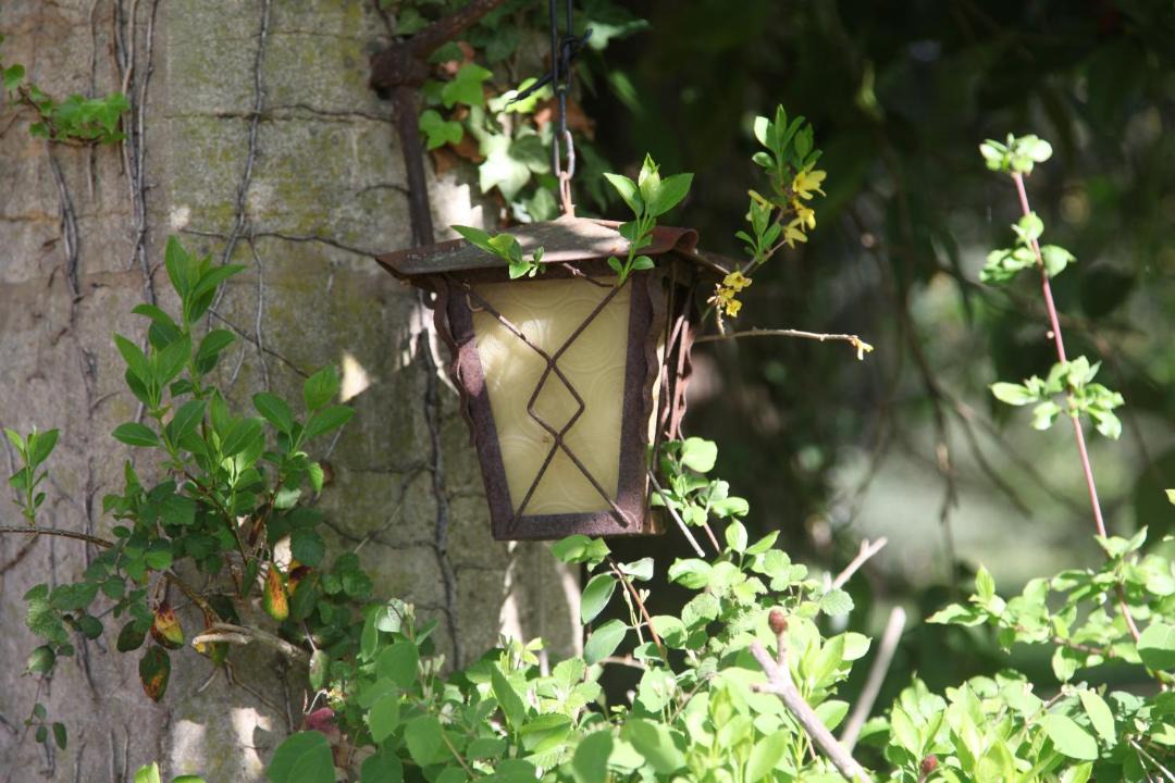 Photo of Others in Charentay