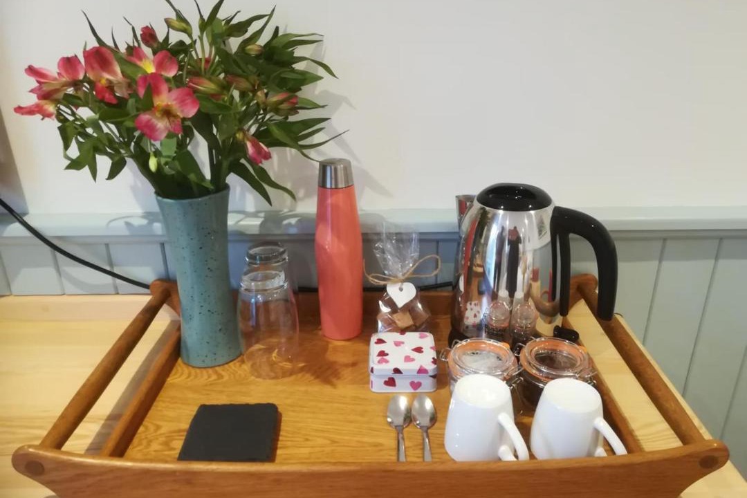 Photo of Others in Freshwater