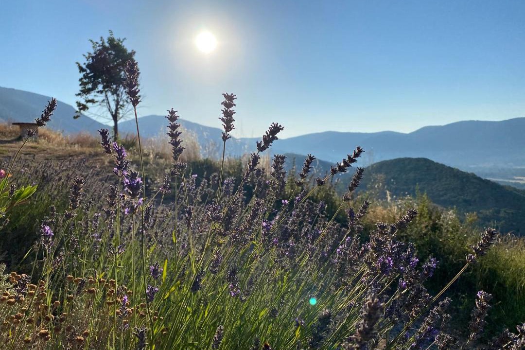 Photo of Others in Bargeme