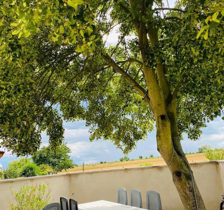 Photo of Others in Kintzheim