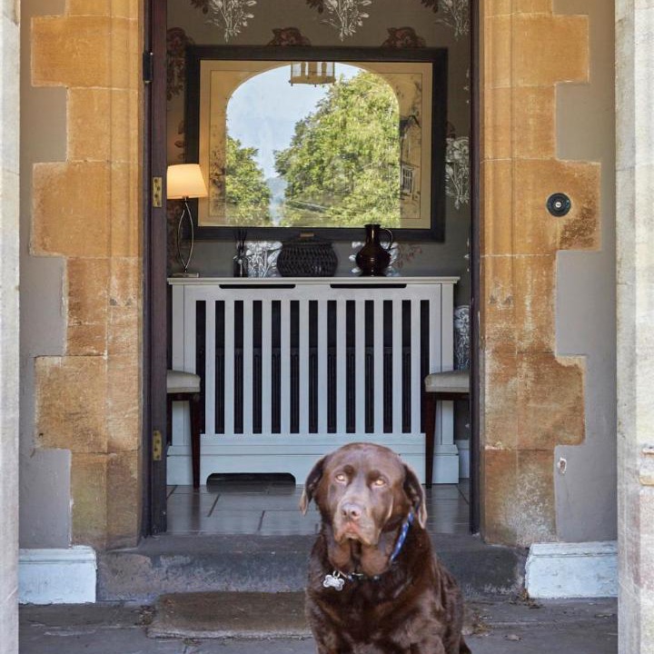 Photo of Others in Wraxall