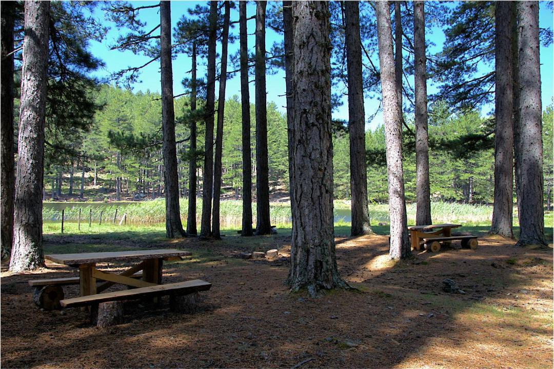 Photo of Others in Guagno les Bains